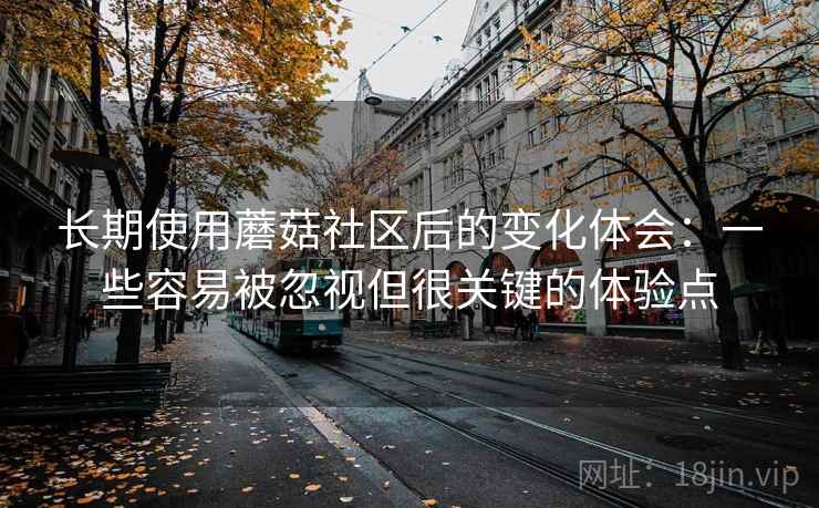 长期使用蘑菇社区后的变化体会：一些容易被忽视但很关键的体验点  第2张