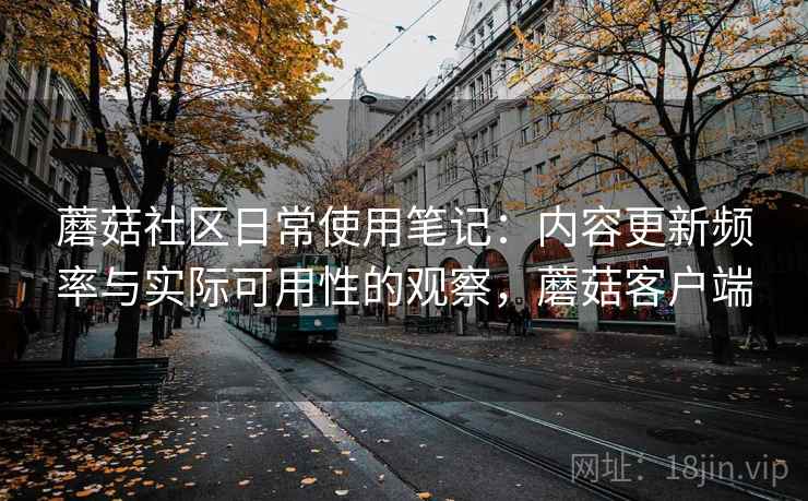 蘑菇社区日常使用笔记：内容更新频率与实际可用性的观察，蘑菇客户端  第1张