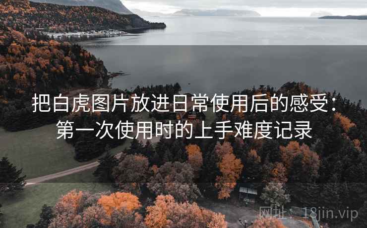 把白虎图片放进日常使用后的感受:第一次使用时的上手难度记录 第2张 把白虎图片放进日常使用后的感受:第一次使用时的上手难度记录 第2张
