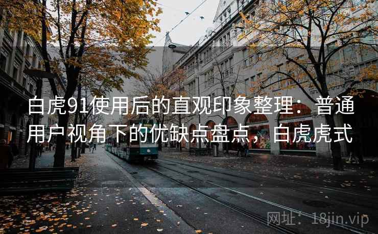 白虎91使用后的直观印象整理:普通用户视角下的优缺点盘点,白虎虎式 第2张 白虎91使用后的直观印象整理:普通用户视角下的优缺点盘点,白虎虎式 第2张