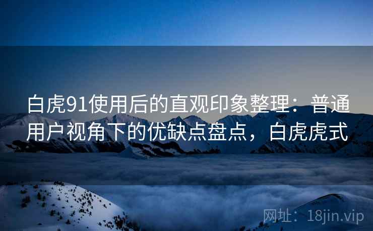 白虎91使用后的直观印象整理:普通用户视角下的优缺点盘点,白虎虎式 第1张 白虎91使用后的直观印象整理:普通用户视角下的优缺点盘点,白虎虎式 第1张