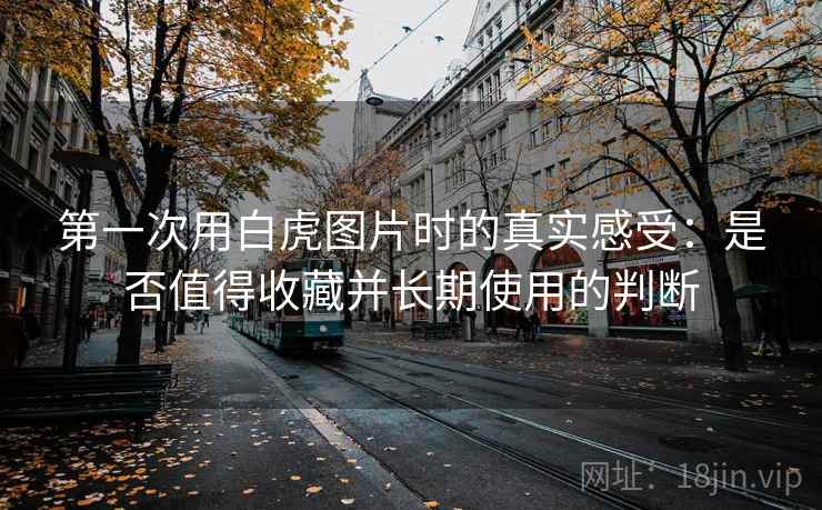 第一次用白虎图片时的真实感受:是否值得收藏并长期使用的判断 第1张 第一次用白虎图片时的真实感受:是否值得收藏并长期使用的判断 第1张