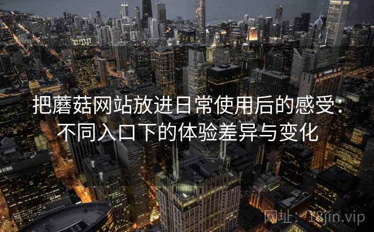 把蘑菇网站放进日常使用后的感受：不同入口下的体验差异与变化  第2张