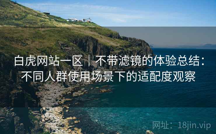 白虎网站一区｜不带滤镜的体验总结：不同人群使用场景下的适配度观察  第1张