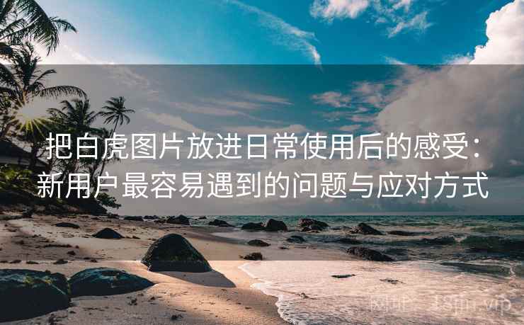 把白虎图片放进日常使用后的感受：新用户最容易遇到的问题与应对方式  第2张