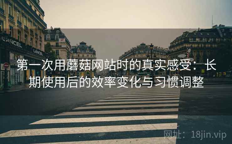 第一次用蘑菇网站时的真实感受：长期使用后的效率变化与习惯调整  第1张