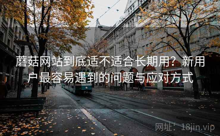 蘑菇网站到底适不适合长期用？新用户最容易遇到的问题与应对方式  第2张